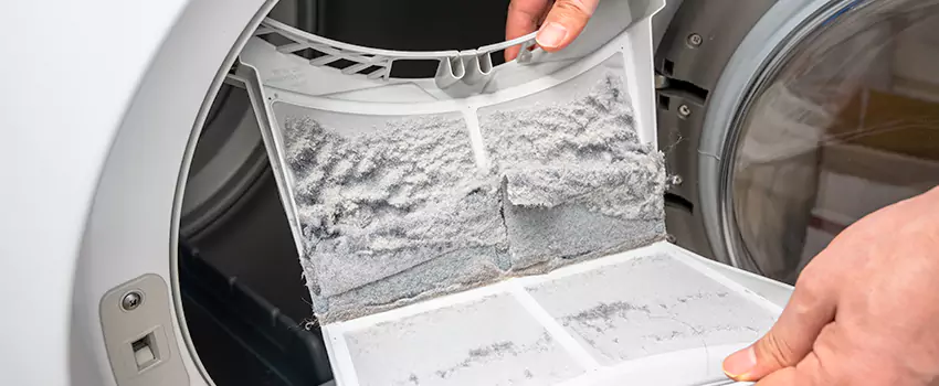 Best Dryer Lint Removal Company in Yakima, Washington