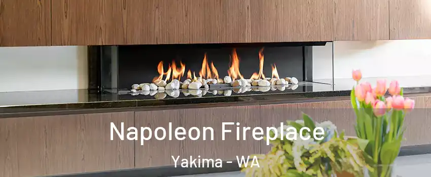  Napoleon Fireplace Yakima - WA